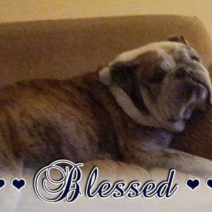 Meet your Posher, Terry